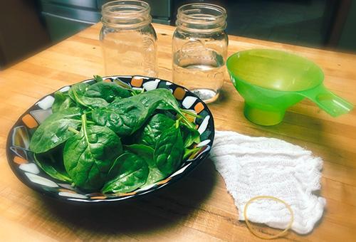 How to Make the Popeye Spinach Tincture - step 1