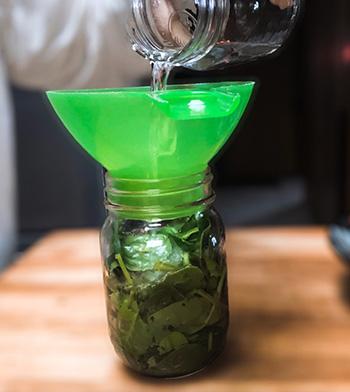 How to Make the Popeye Spinach Tincture - step 2