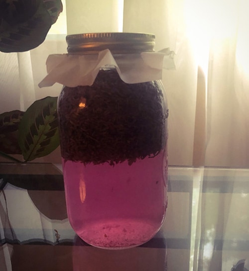 Lavender Vinegar-placing the jar in a sunny window step 6