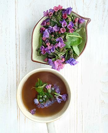 Lungwort - Natural Remedies