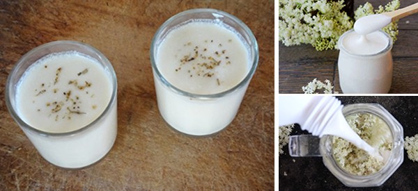 Probiotic Elderflower Yogurt Recipe -Cover