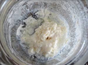 Probiotic Elderflower Kefir Recipe - The Lost Herbs