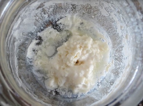 Probiotic Elderflower Yogurt Recipe -Step 1