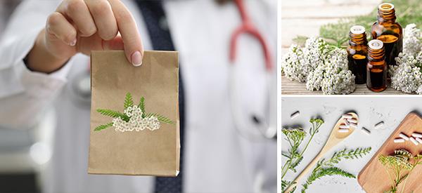 The Plant Doctors Are Begging People To Grow