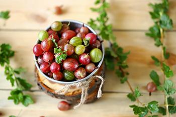 This Once-Banned Berry Helps People With Diabetes - Gooseberry benefits