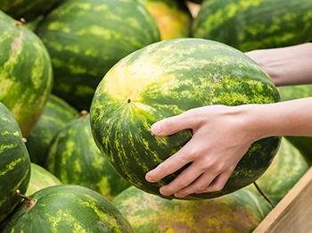 Watermelon Extract for Blood Pressure