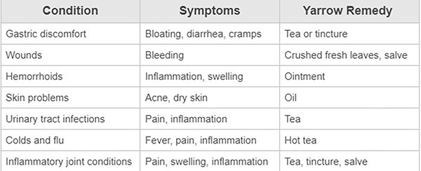 Yarrow - Natural Remedies