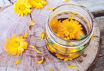 10 Flowers You Did Not Know You Can Pickle- Calendula