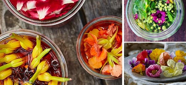 10 Flowers You Did Not Know You Can Pickle- cover