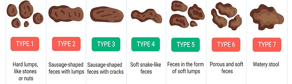 How Healthy Is Your Poop - Chart