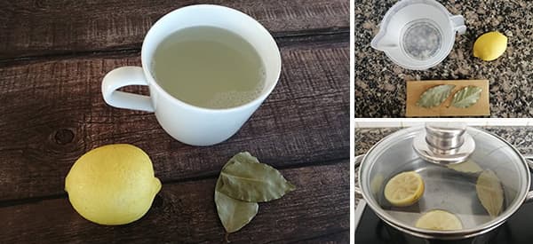 What Happens If You Mix Lemon with Bay Leaves?