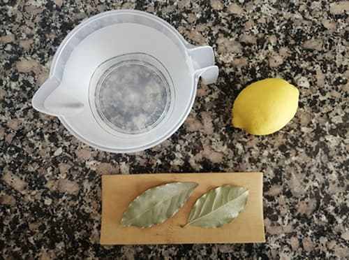 What Happens If You Mix Lemon with Bay Leaves - ingredients