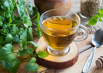 lemon balm tea