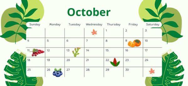 Foraging Calendar: What to Forage in October