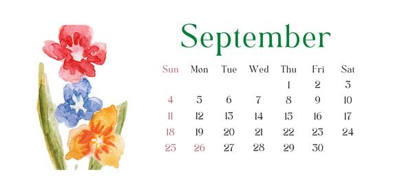 Foraging Calendar: What To Forage In September