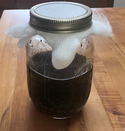 Use This Plant to Reverse Hyperpigmentation- jar with cheesecloth