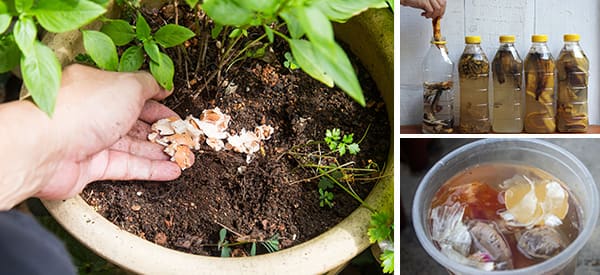 13 homemade fertilizers for your plants - cover