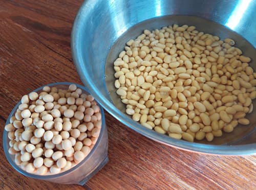 Cleanse Your Bowels With These 2 Ingredients- soy beans