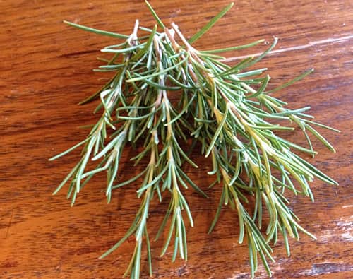 DIY Bedtime Herbal Hair-Growth Spray - rosemary