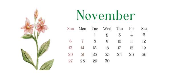 Foraging Calendar: What to Forage in November