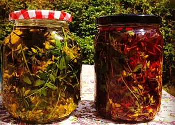 The Amish Herbal Remedies You Should Know- st john's wort
