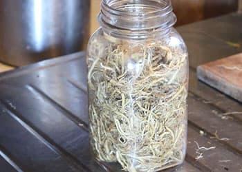 The Amish Herbal Remedies You Should Know- valerian tincture