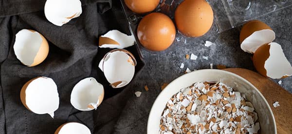 Don’t Throw Away Your Eggshells, Do This Instead!
