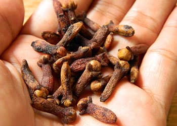 How to Reduce Dental Pain Naturally- cloves