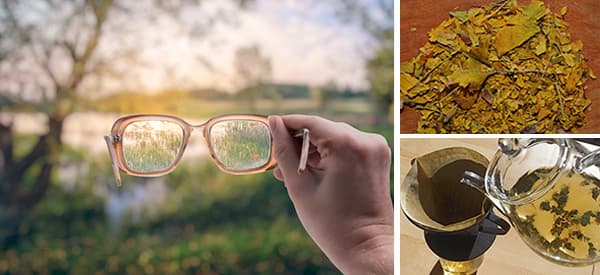 Improve Your Eyesight with These 3 Common Herbs