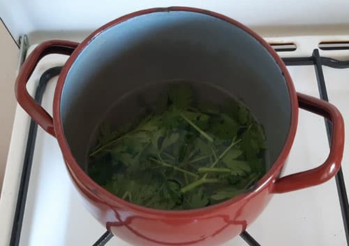 Parsley Tea for Inflammation of The Urinary Tract- brewing parsley