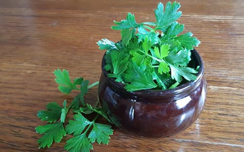 Parsley Tea for Inflammation of The Urinary Tract- parsley