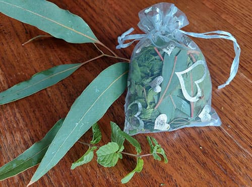 Put These Plants In Your Pillow To Relieve A Sinus Headache- adding leaves in a gauze