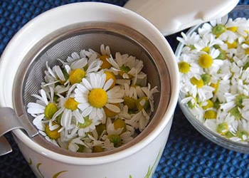 7 Herbal Teas That Fight IBS- Chamomile