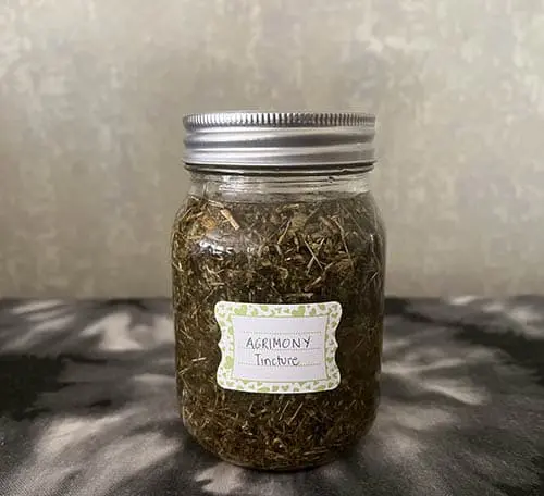 Agrimony - The Lost Herbs