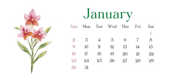 Foraging Calendar: What to Forage in January
