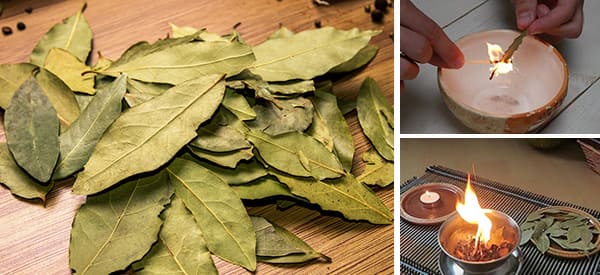 What Happens if You Burn Bay Leaves?