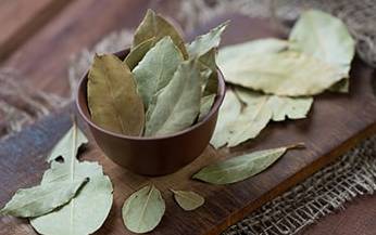 What Happens If You Burn Bay Leaves- dry bay leaves
