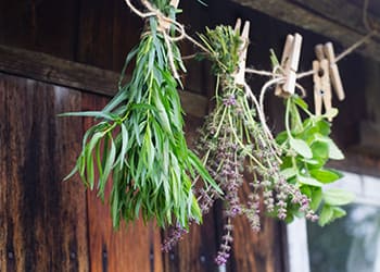10 Mistakes You Could Be Making When Storing Herbs- air dry herbs