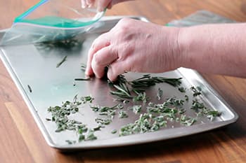 10 Mistakes You Could Be Making When Storing Herbs- pasteurizing herbs