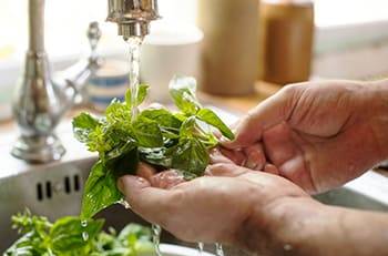 10 Mistakes You Could Be Making When Storing Herbs- wash herbs