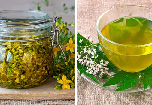 4 Remedies You Should Never Take Together- st johns wort and valerian