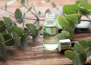 Cold and Flu Cheat Sheet- Eucalyptus Essential Oil