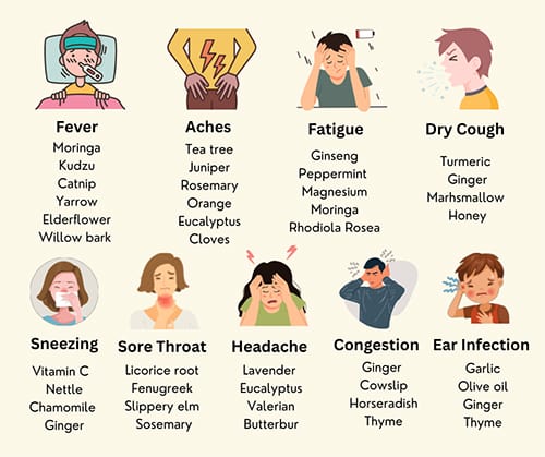 Cold And Flu Cheat Sheet The Lost Herbs   Cold And Flu Cheat Sheet Cheat Sheet 