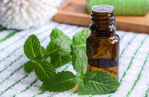 How To Combat Nausea Naturally - Peppermint