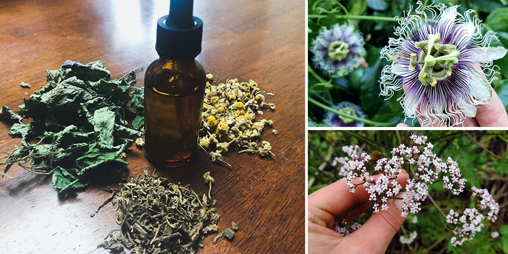 How To Make Your Own Better Sleep Herbal Tincture- cover