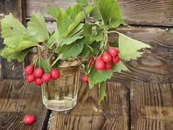 How to Get Rid of Water Retention Naturally - Hawthorn
