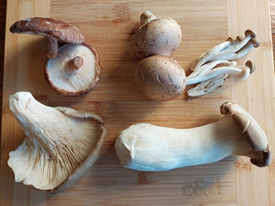 How to Manage Autoimmune Diseases With Mushrooms- various mushrooms