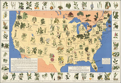 Medicinal Plant Map for Every State