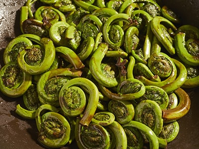 The Most Nutritious Plants You Can Forage This Spring- Fiddlehead Fern dish