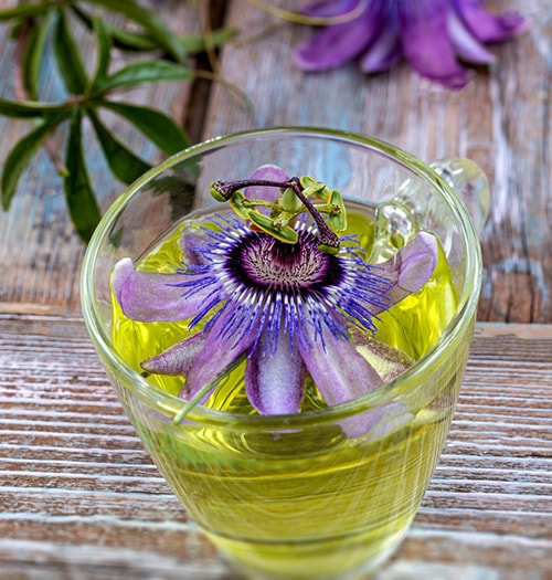 Drink A Cup of This Every Night For Better Sleep-passionflower tea